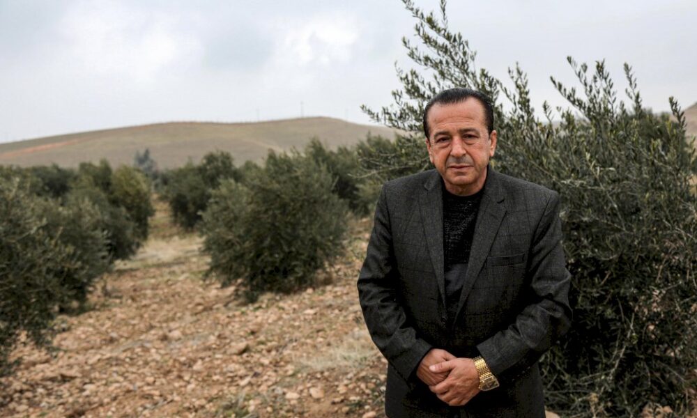 les-oliviers-d’afrine-trouvent-de-nouvelles-racines-au-kurdistan-irakien