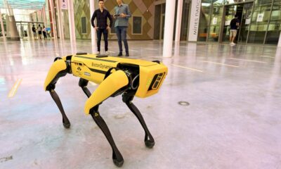 nancy:-un-robot-chien-pour-remplacer-l&rsquo;homme-dans-les-endroits-dangereux