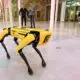 nancy:-un-robot-chien-pour-remplacer-l’homme-dans-les-endroits-dangereux