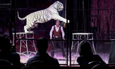 vers-la-fin-des-fauves-sous-les-chapiteaux-de-cirque?