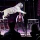 vers-la-fin-des-fauves-sous-les-chapiteaux-de-cirque?