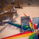 « fin-progressive »-des-animaux-sauvages-dans-les-cirques-itinerants