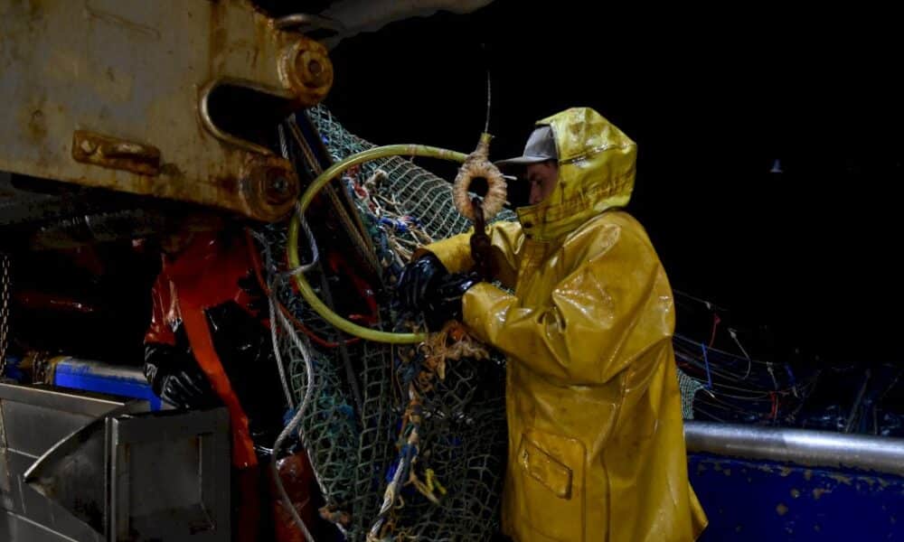 brexit:-les-pecheurs-boulonnais-se-font-un-sang-d&rsquo;encre