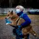 en-russie,-des-« chiens-chacals »-apprennent-a-detecter-le-covid