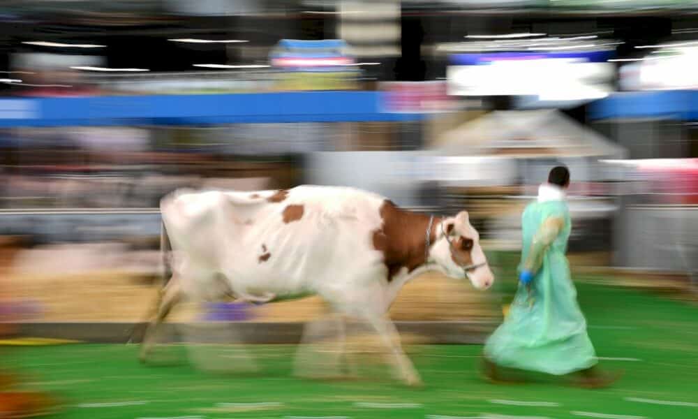 annulation-du-salon-de-l&rsquo;agriculture-2021-a-paris