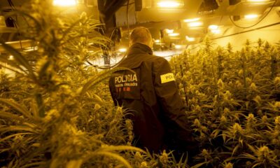 l&rsquo;espagne,-la-« ferme-de-cannabis »-de-l&rsquo;europe