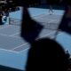 tennis:-un-report-d&rsquo;une-a-deux-semaines-de-l&rsquo;open-d&rsquo;australie-« tres-probable »