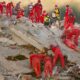 seisme:-le-bilan-s&rsquo;alourdit-en-turquie,-l&rsquo;espoir-s&rsquo;amenuise