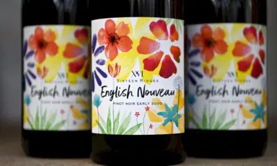 « nouveau »:-les-anglais-font-aussi-leur-beaujolais