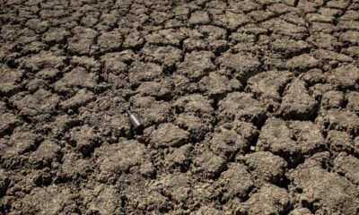 le-rechauffement-climatique,-une-menace-bien-plus-grande-que-le-covid,-selon-la-croix-rouge