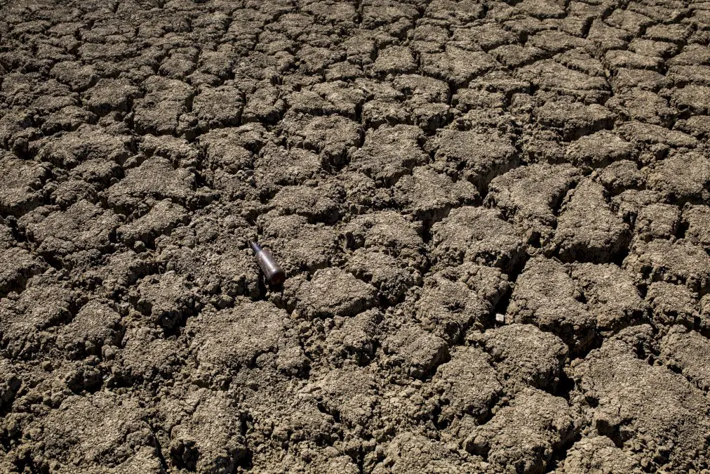 le-rechauffement-climatique,-une-menace-bien-plus-grande-que-le-covid,-selon-la-croix-rouge