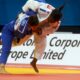 judo: malonga-sacree-championne-d&rsquo;europe-pour-la-2e-fois-en-78-kg