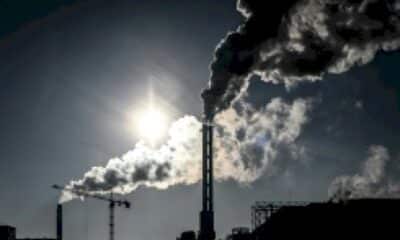 le-gouvernement-va-creer-un-« delit-d&rsquo;ecocide »-pour-punir-les-atteintes-a-l&rsquo;environnement