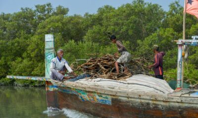 pakistan:-a-karachi,-les-mangroves-ou-le-beton
