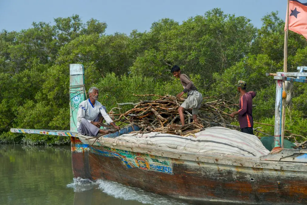 pakistan:-a-karachi,-les-mangroves-ou-le-beton