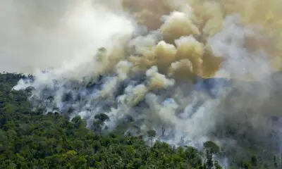 la-deforestation-en-amazonie-bresilienne-au-plus-haut-depuis-12-ans