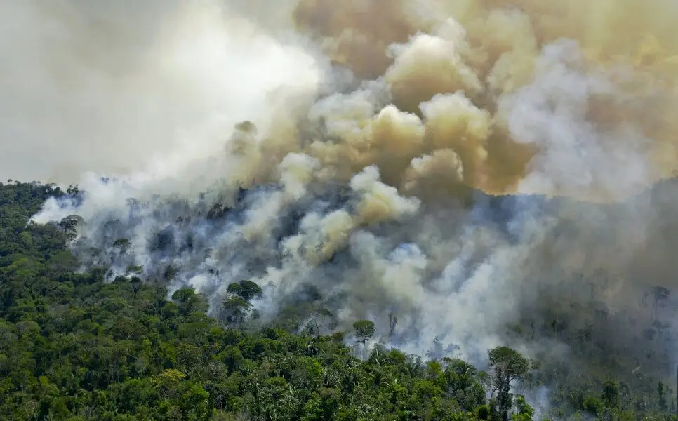 la-deforestation-en-amazonie-bresilienne-au-plus-haut-depuis-12-ans