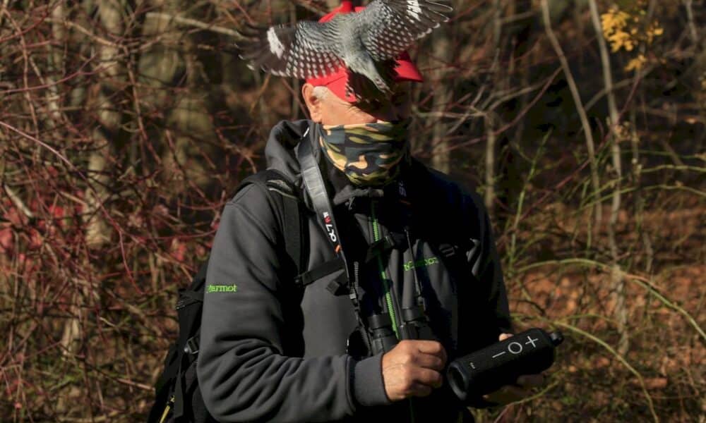 l&rsquo;observation-des-oiseaux-a-central-park,-rare-loisir-en-temps-de-covid