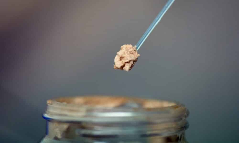 de-la-viande-artificielle-autorisee-a-la-vente-a-singapour,-une-premiere-mondiale