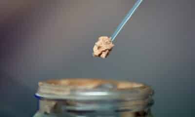 de-la-viande-artificielle-autorisee-a-la-vente-a-singapour,-une-premiere-mondiale