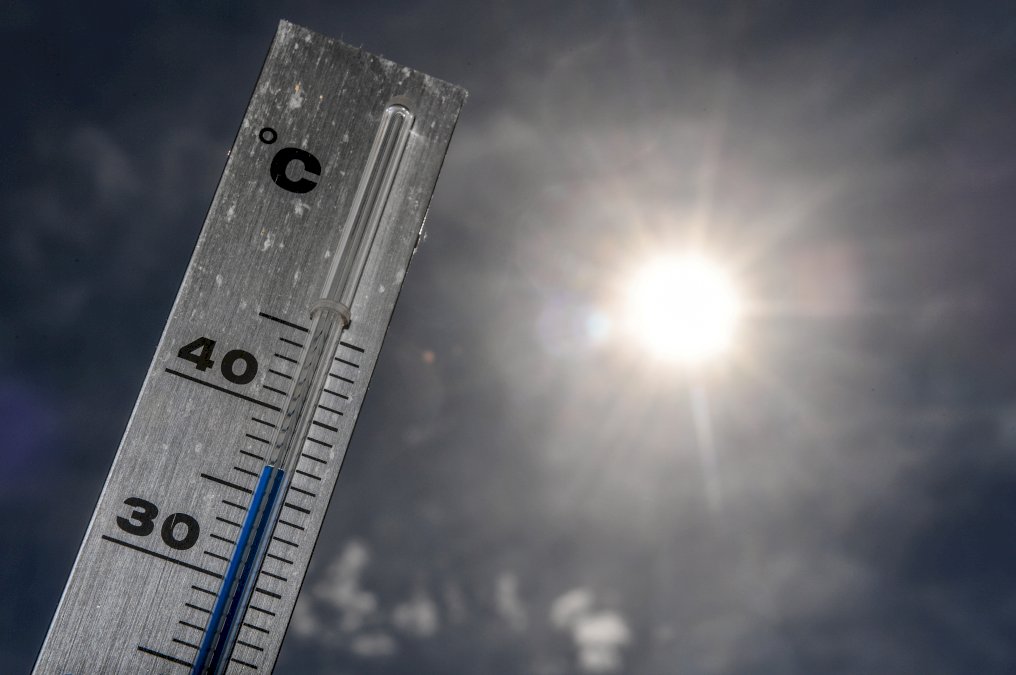 novembre-2020,-le-plus-chaud-jamais-enregistre-dans-le-monde