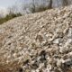 sur-les-cotes-du-texas,-les-coquilles-d&rsquo;huitres-sont-recyclees-en-recifs