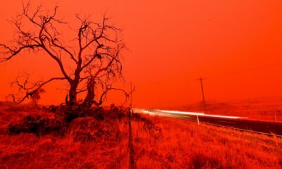 climat:-en-2020,-des-catastrophes-toujours-plus-couteuses,-selon-une-ong