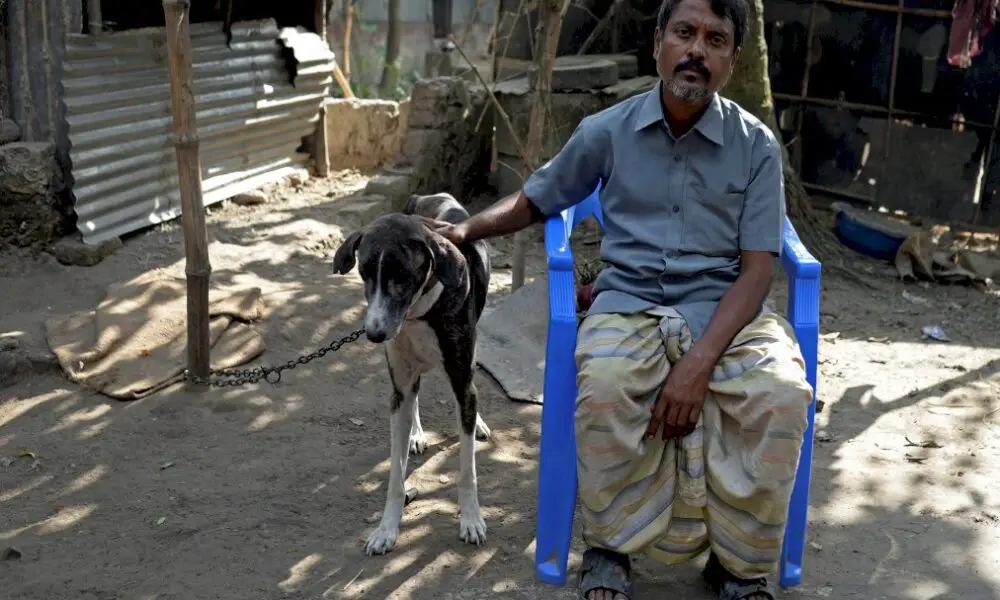 le-sarail,-chien-de-chasse-du-bangladesh,-une-espece-canine-a-sauver