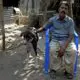 le-sarail,-chien-de-chasse-du-bangladesh,-une-espece-canine-a-sauver