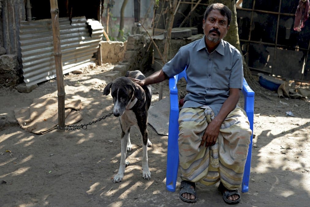 le-sarail,-chien-de-chasse-du-bangladesh,-une-espece-canine-a-sauver