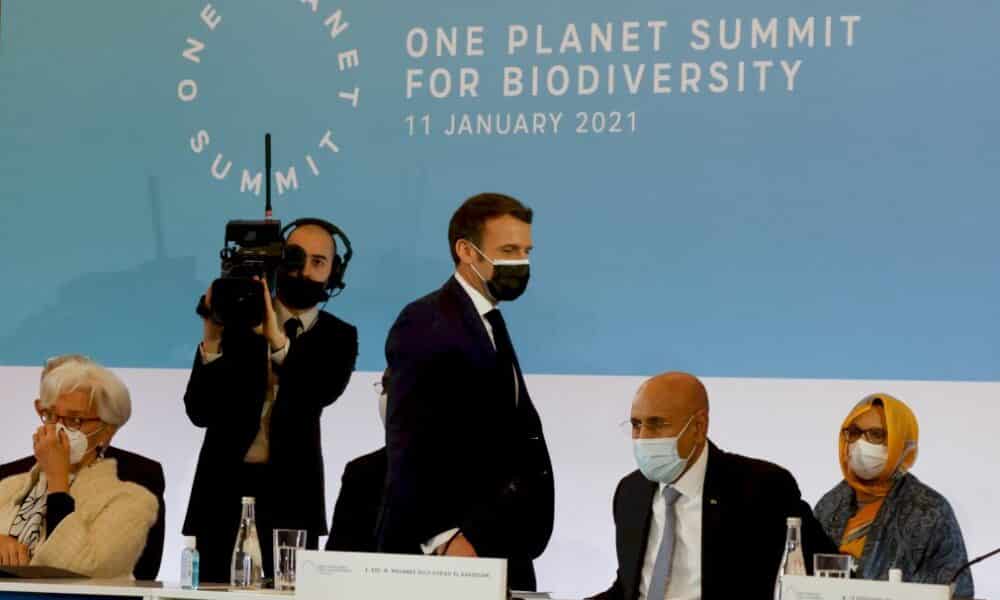 un-one-planet-summit-pour-la-biodiversite-sans-grandes-avancees