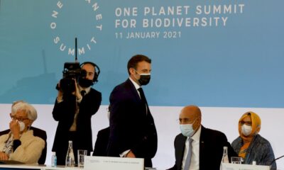 un-one-planet-summit-pour-la-biodiversite-sans-grandes-avancees