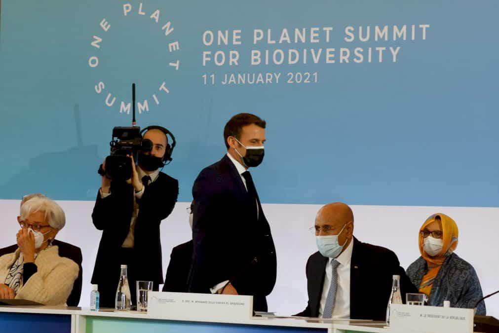 un-one-planet-summit-pour-la-biodiversite-sans-grandes-avancees