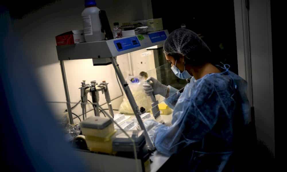 covid-19:-le-sequencage,-cet-indispensable-outil-pour-traquer-le-virus