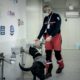 des-chiens-formes-pour-traquer-le-covid-avec-la-sueur-humaine