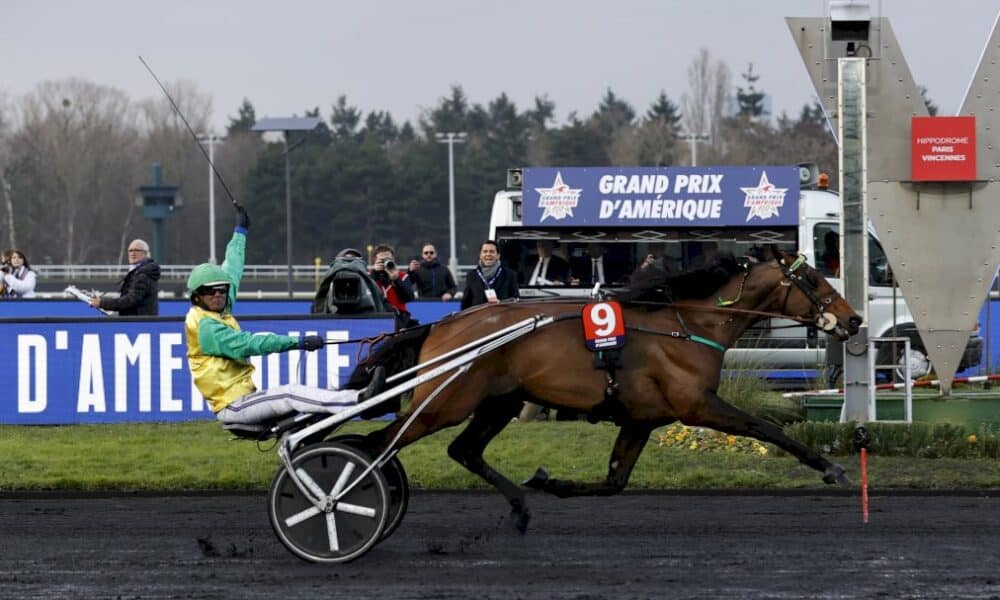 prix-d&rsquo;amerique:-18-trotteurs-en-quete-d&rsquo;un-titre-de-champion-du-monde