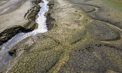affaire-du-siecle:-l&rsquo;etat-« responsable »-de-manquements-dans-la-lutte-contre-le-rechauffement