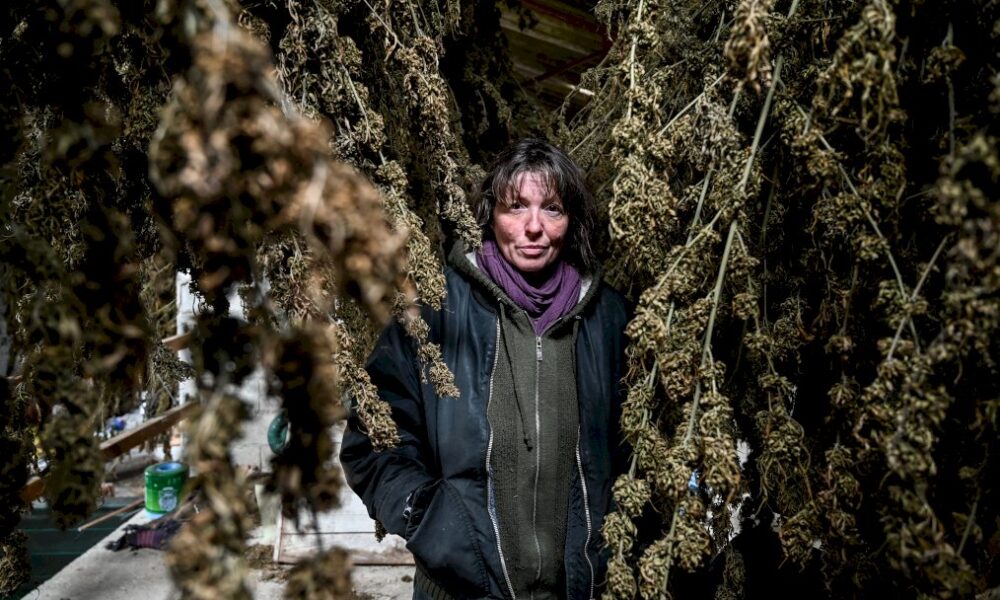 france:-nathalie-page,-agricultrice-et-avant-gardiste-du-cbd