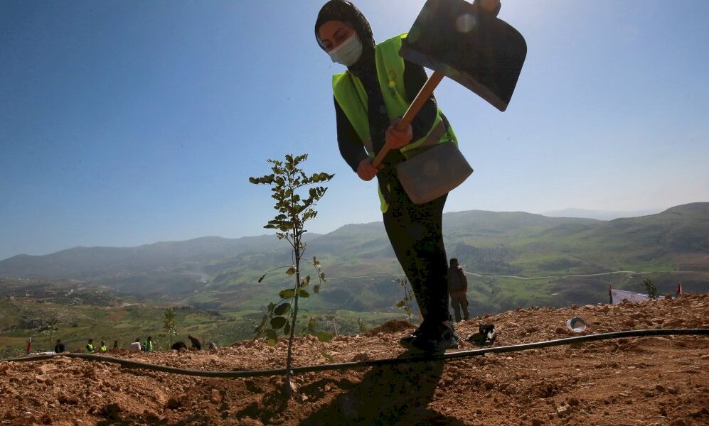 pays-desertique,-la-jordanie-veut-planter-des-forets