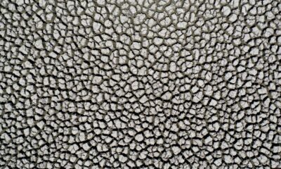 le-lac-asseche-de-suesca,-temoin-du-changement-climatique-en-colombie