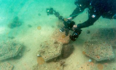 a-hong-kong,-l&rsquo;impression-3d-plonge-au-secours-des-coraux