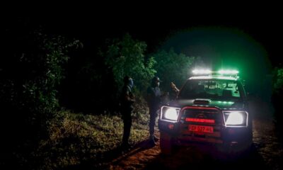 « or-vert »:-le-juteux-trafic-du-vol-d&rsquo;avocats-en-afrique-du-sud