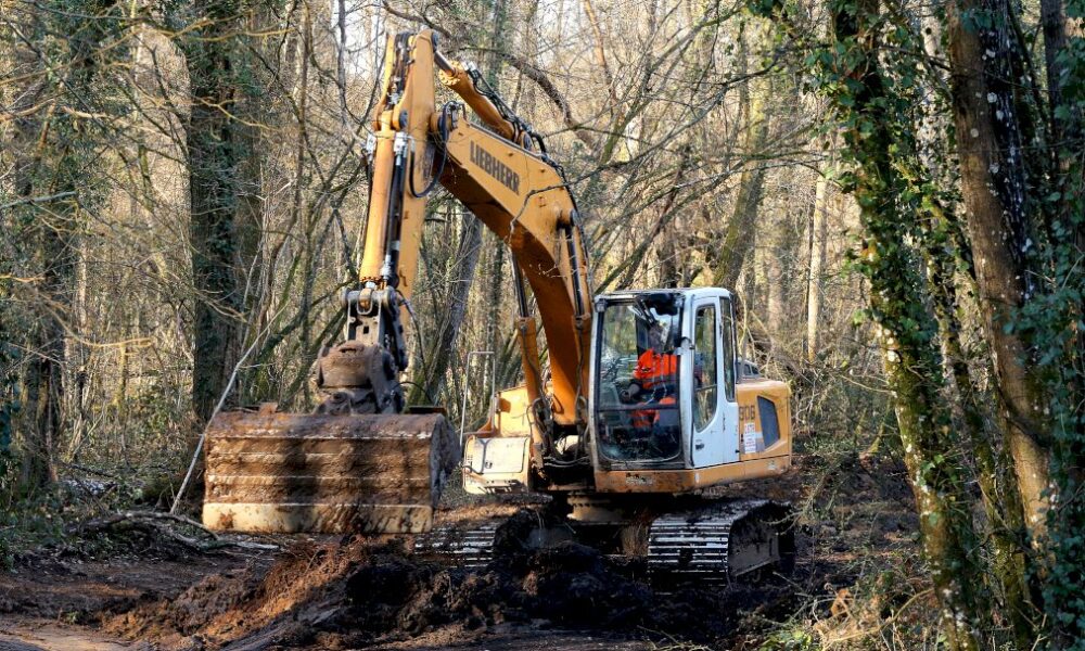 reprise-des-fouilles-dans-les-ardennes-pour-retrouver-le-corps-d&rsquo;estelle-mouzin