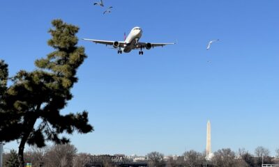 plus-de-100-millions-d&rsquo;americains-au-moins-partiellement-immunises-contre-le-covid-19