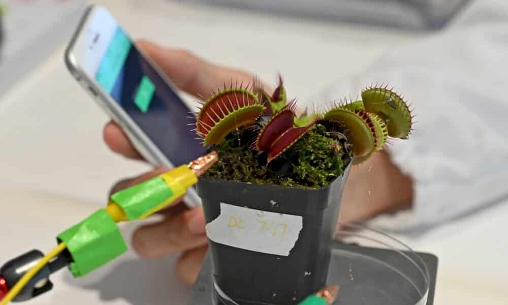 « robots-plantes »:-des-scientifiques-cherchent-a-combiner-technologie-et-nature