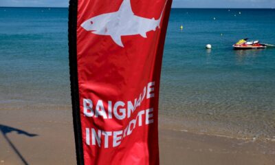 en-nouvelle-caledonie,-la-psychose-du-requin-s&rsquo;installe