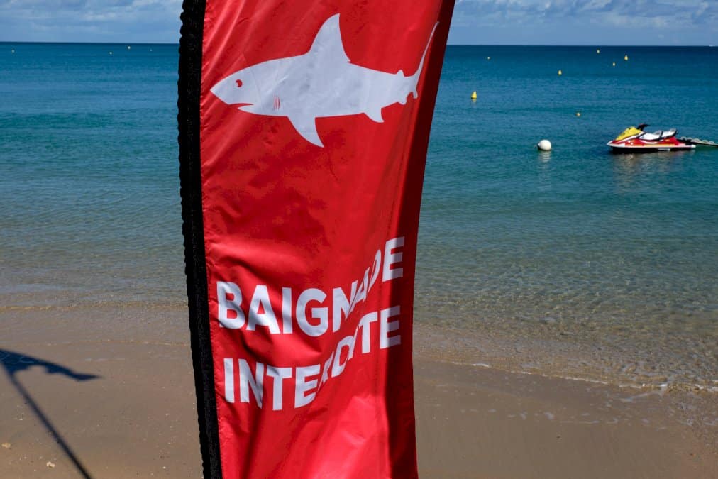 en-nouvelle-caledonie,-la-psychose-du-requin-s&rsquo;installe