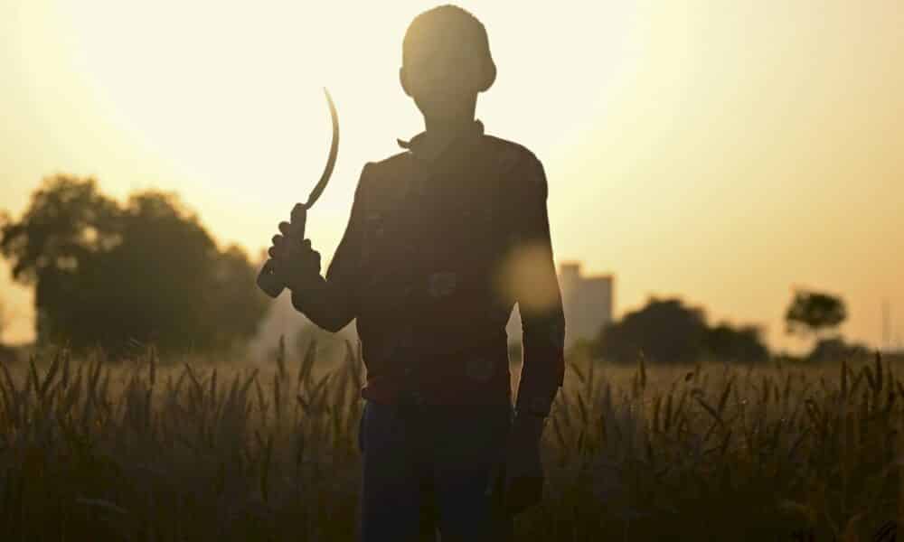 le-travail-des-enfants-augmente-pour-la-premiere-fois-en-deux-decennies