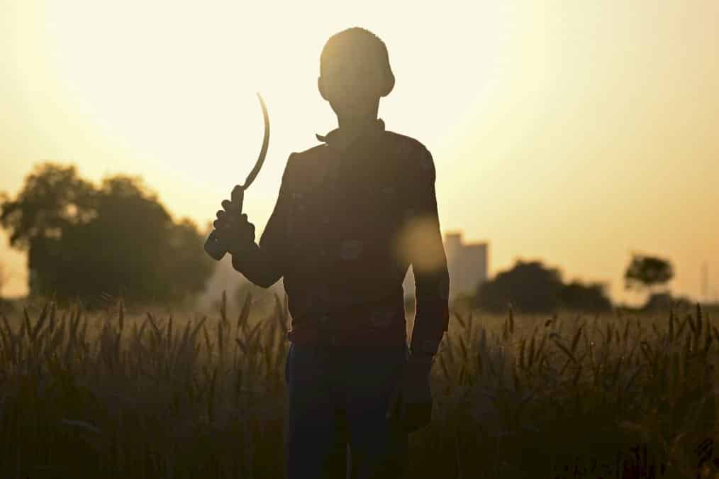 le-travail-des-enfants-augmente-pour-la-premiere-fois-en-deux-decennies