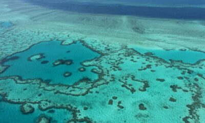 grande-barriere-de-corail-« en-danger »-pour-l&rsquo;unesco,-l&rsquo;australie-prete-a-contester